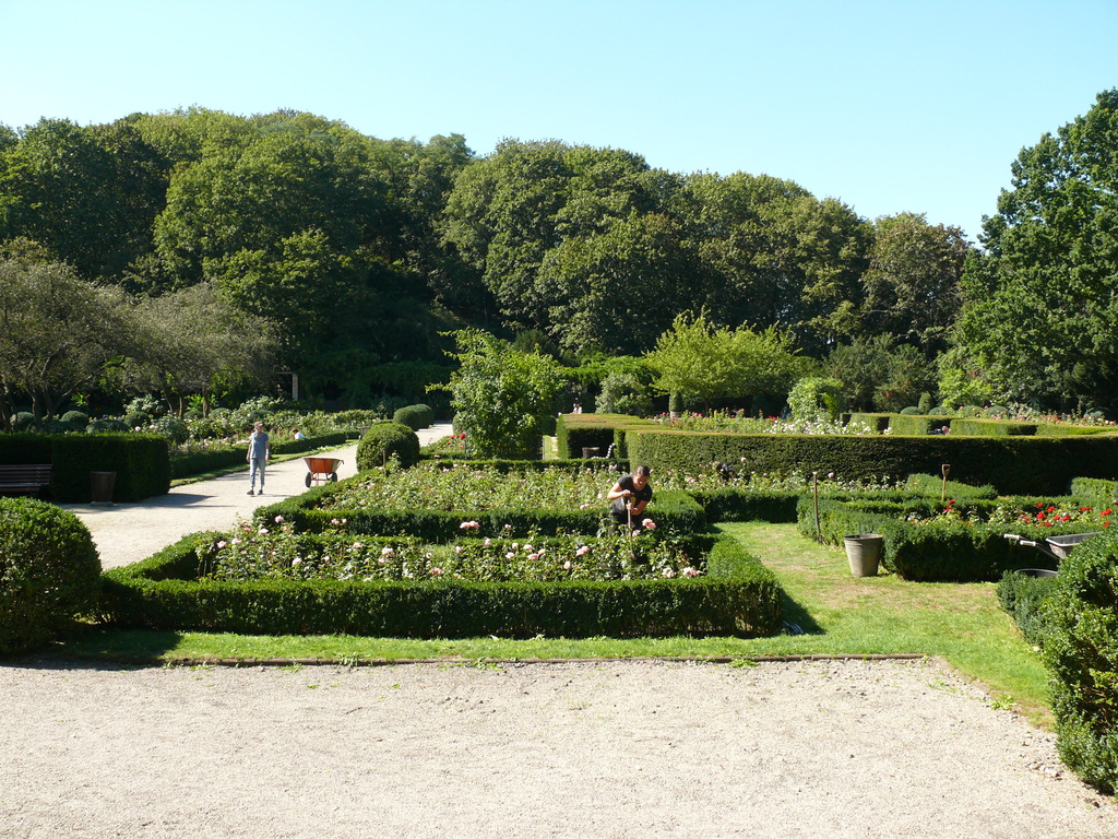 Il giardino delle rose all'interno del parco Humboldthain