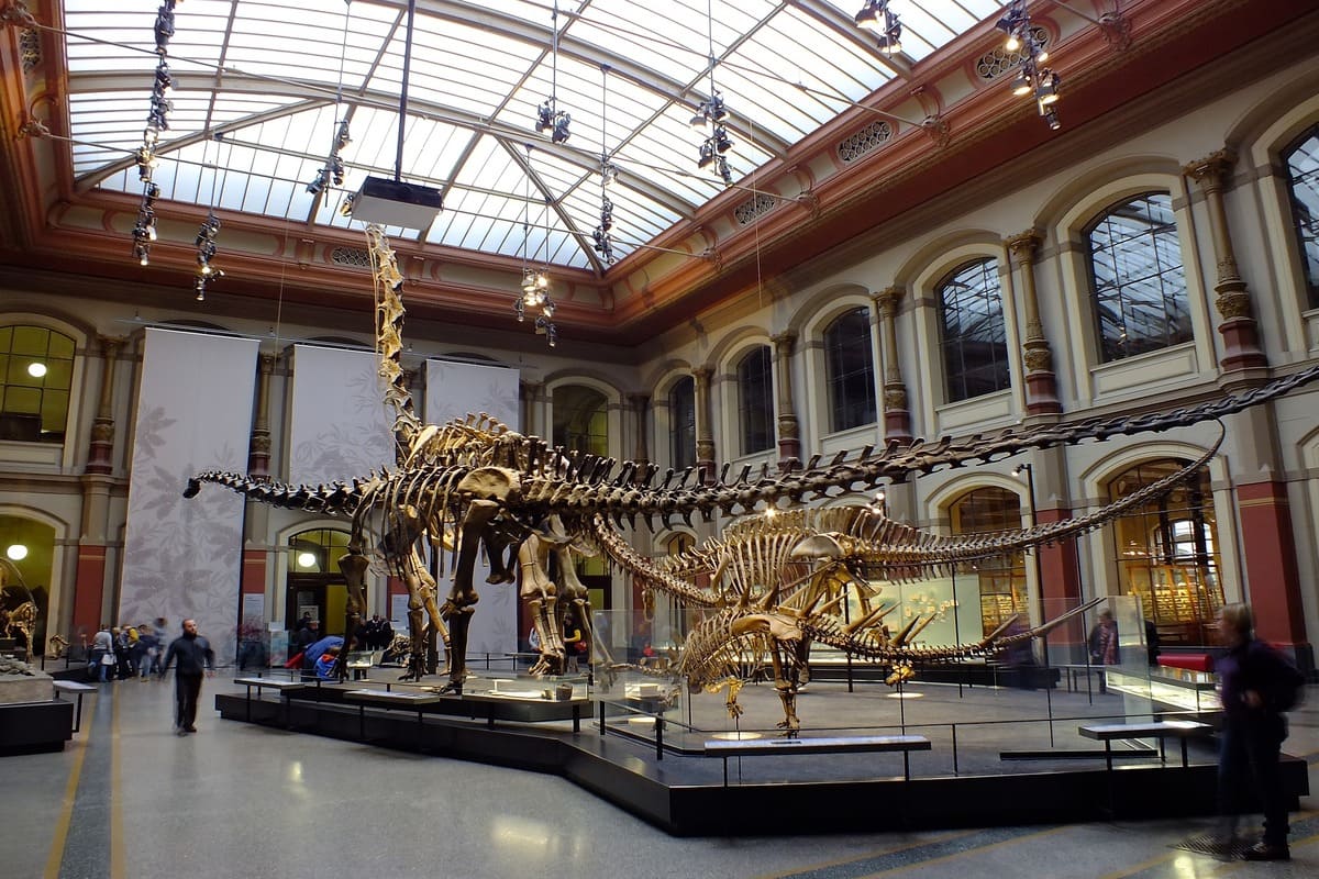Naturkunde Museum