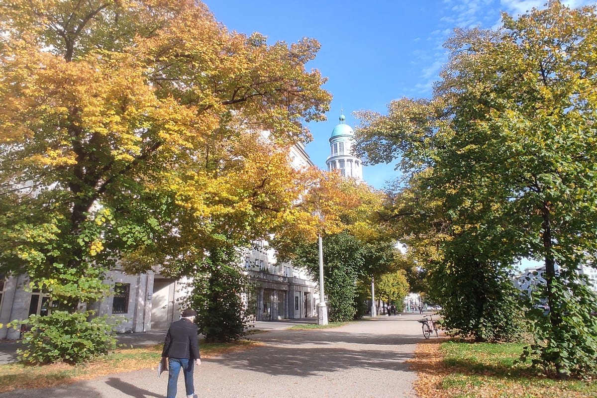 Foliage Karl-Marx-Allee