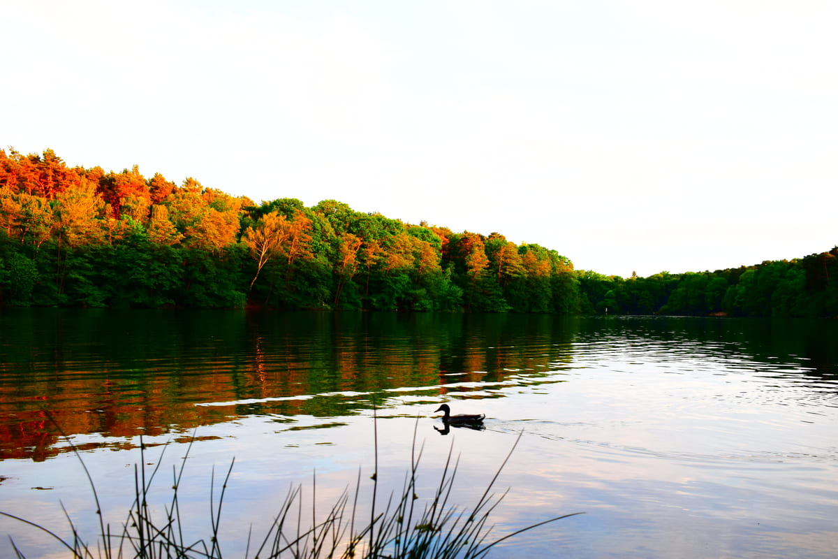 Krumme Lanke Berlino