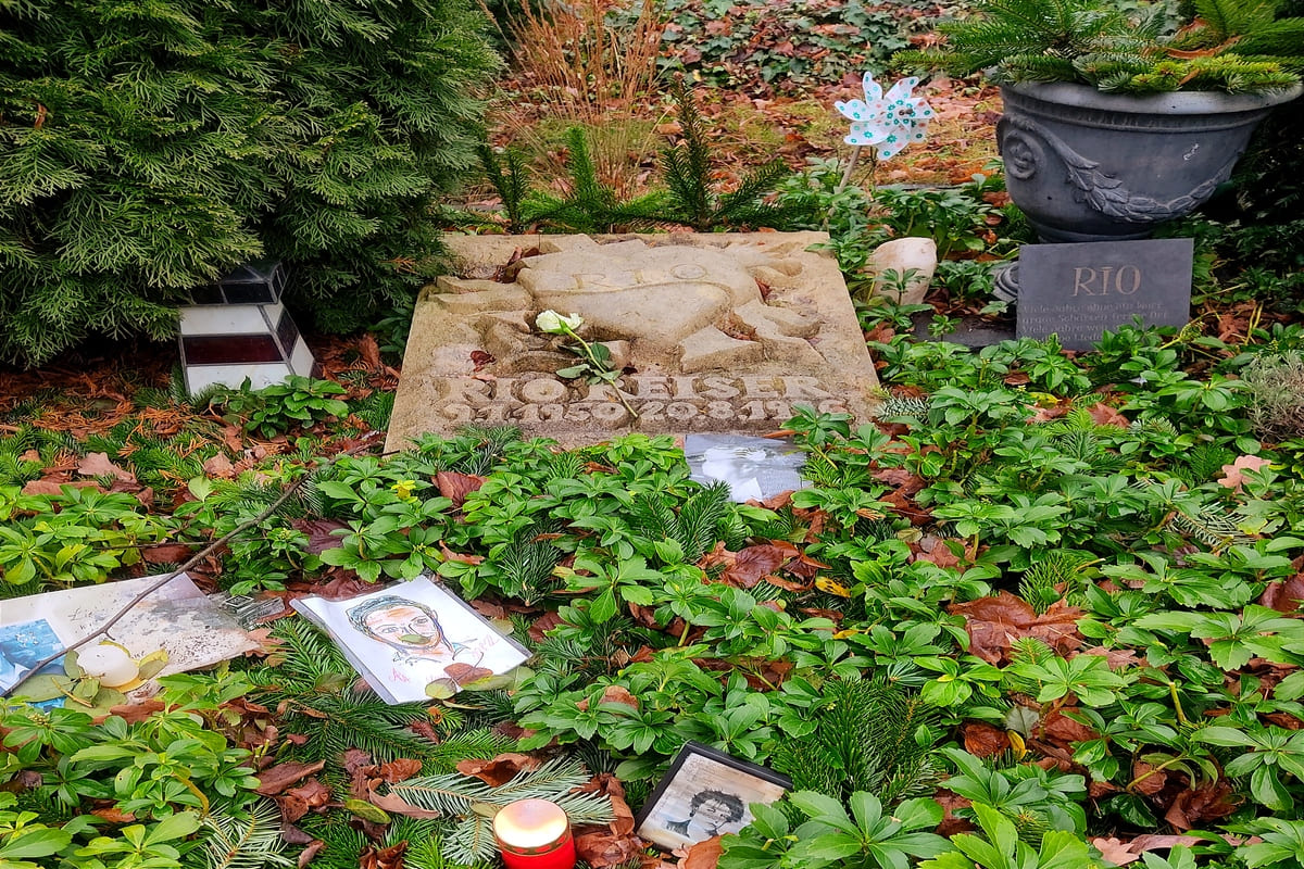Rio Reiser cimitero